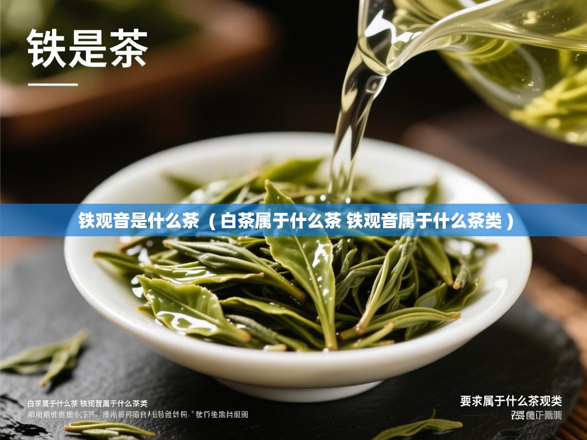  铁观音是什么茶  ( 白茶属于什么茶 铁观音属于什么茶类 )