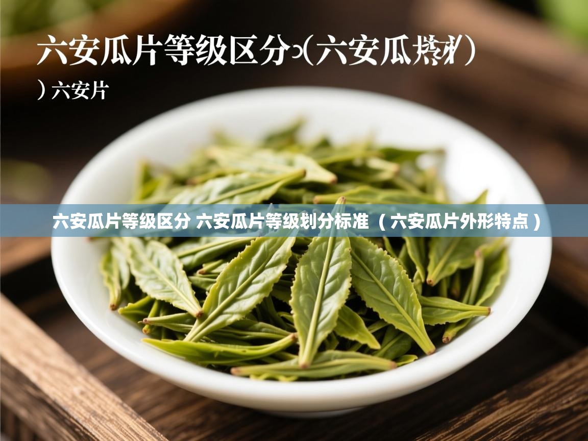  六安瓜片等级区分 六安瓜片等级划分标准  ( 六安瓜片外形特点 )