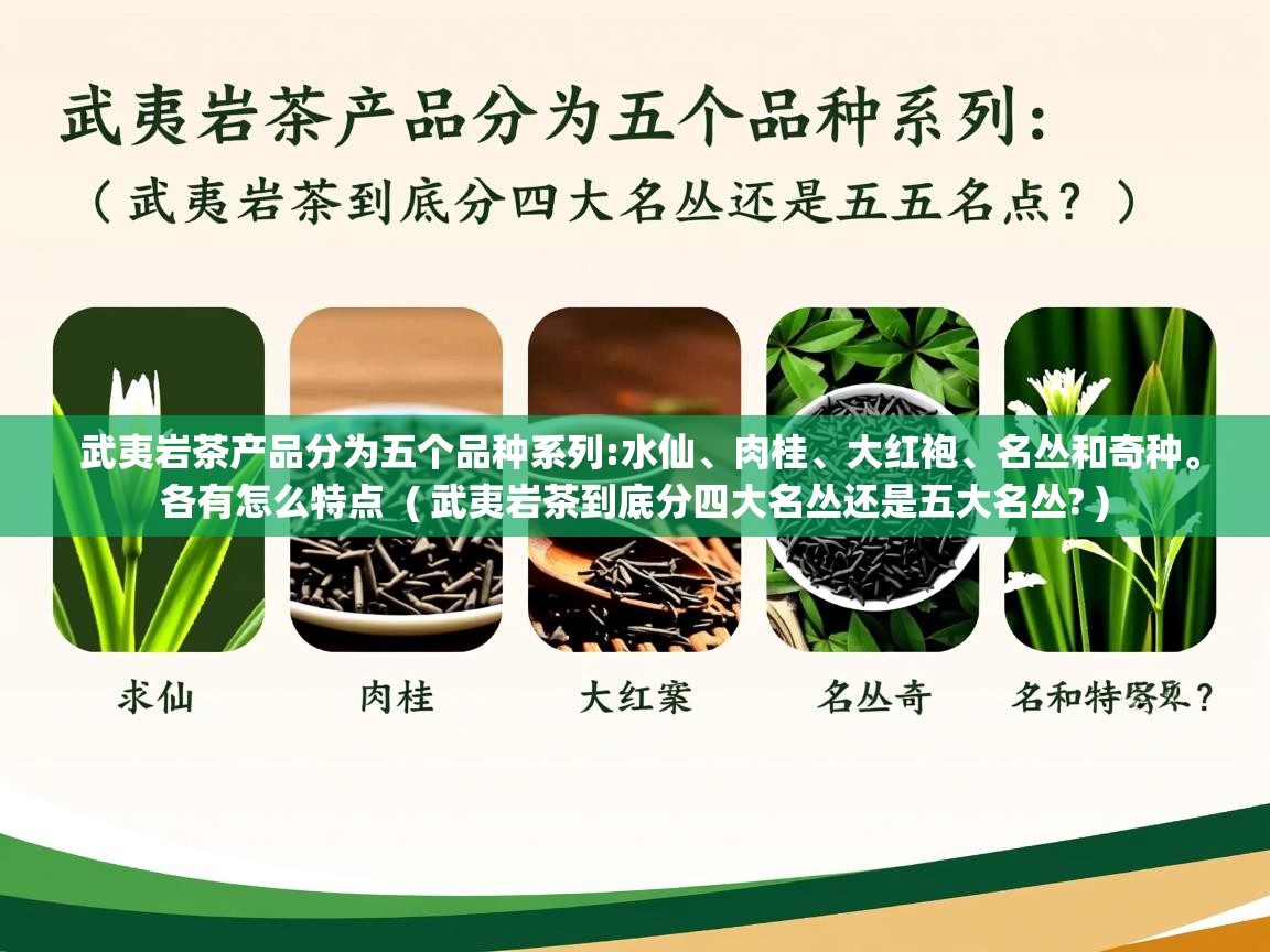  武夷岩茶产品分为五个品种系列:水仙、肉桂、大红袍、名丛和奇种。各有怎么特点  ( 武夷岩茶到底分四大名丛还是五大名丛? )