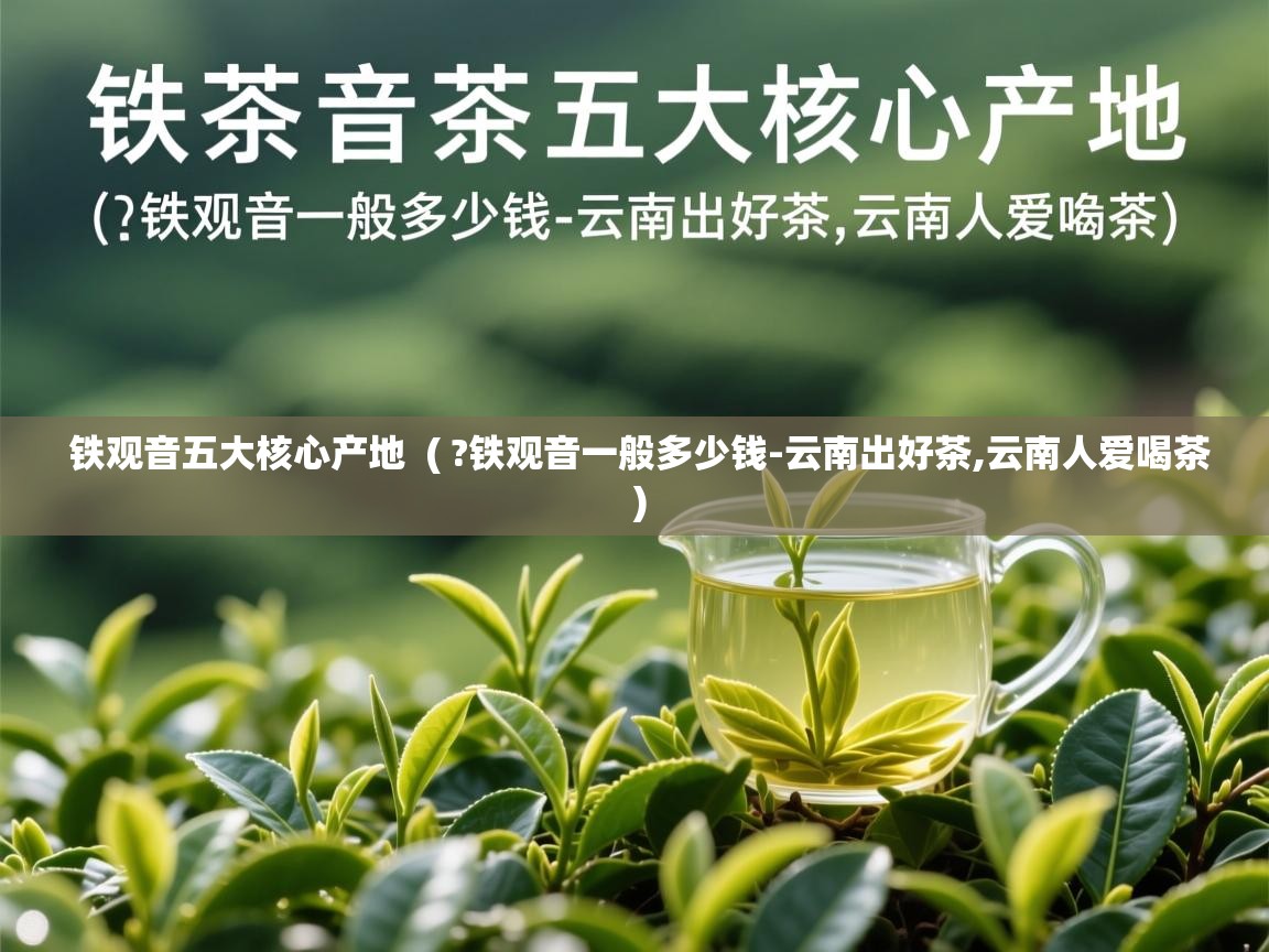  铁观音五大核心产地  ( ?铁观音一般多少钱-云南出好茶,云南人爱喝茶 )