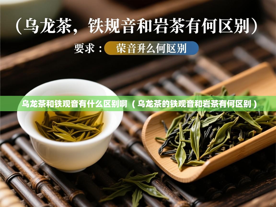  乌龙茶和铁观音有什么区别啊  ( 乌龙茶的铁观音和岩茶有何区别 )