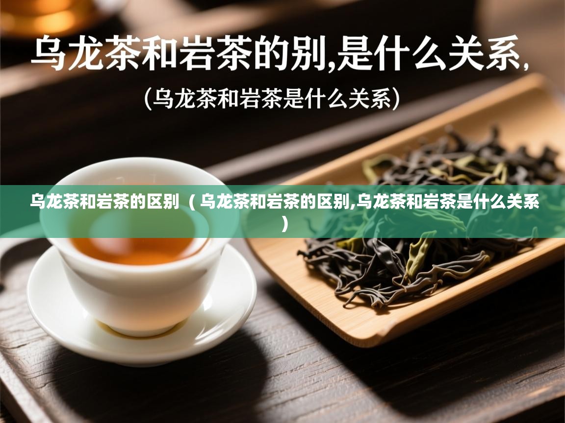  乌龙茶和岩茶的区别  ( 乌龙茶和岩茶的区别,乌龙茶和岩茶是什么关系 )