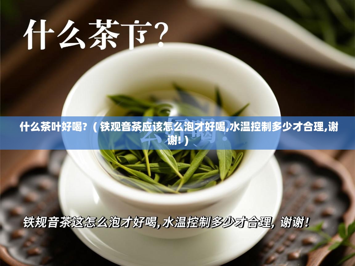  什么茶叶好喝?  ( 铁观音茶应该怎么泡才好喝,水温控制多少才合理,谢谢! )