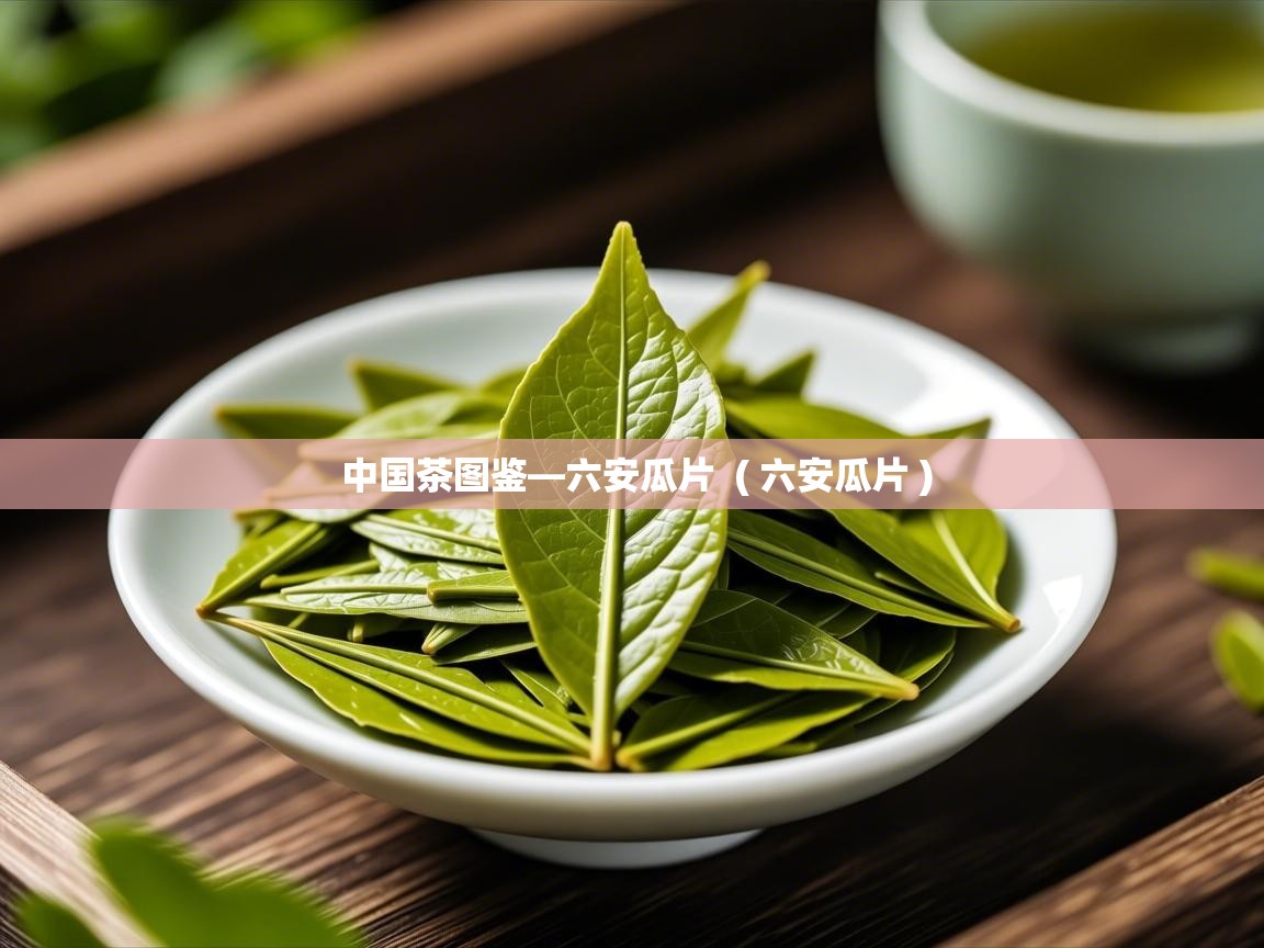 中国茶图鉴—六安瓜片 ( 六安瓜片 ) 中国茶图鉴—六安瓜片 ( 六安瓜片 )