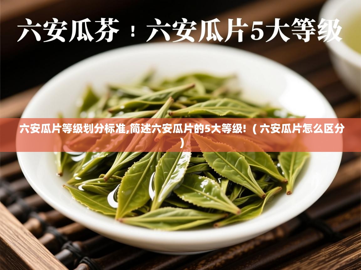  六安瓜片等级划分标准,简述六安瓜片的5大等级!  ( 六安瓜片怎么区分 )
