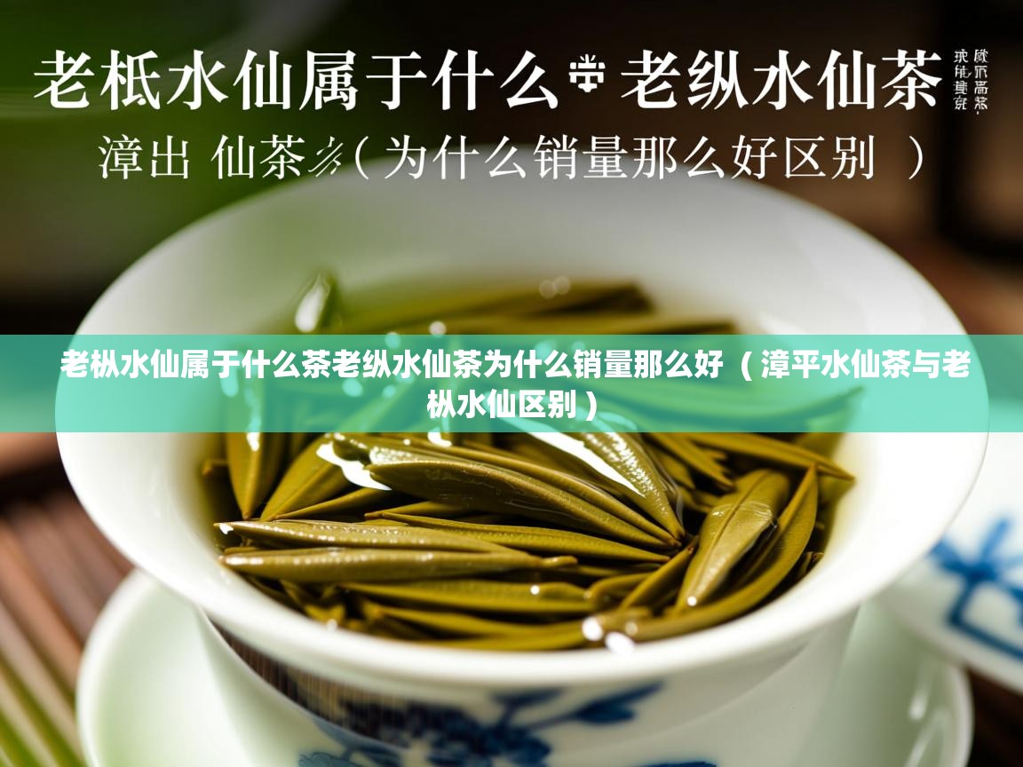  老枞水仙属于什么茶老纵水仙茶为什么销量那么好  ( 漳平水仙茶与老枞水仙区别 )
