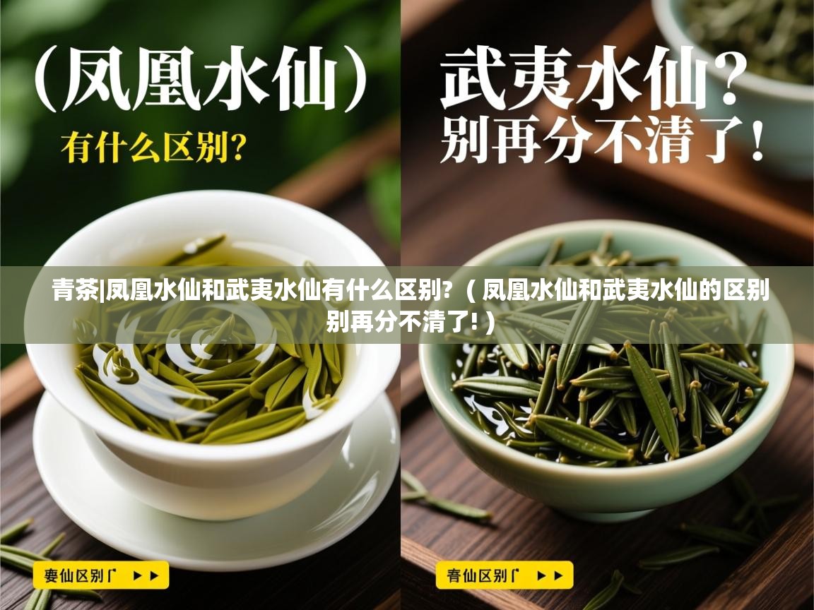 青茶|凤凰水仙和武夷水仙有什么区别? ( 凤凰水仙和武夷水仙的区别 别再分不清了! ) 青茶|凤凰水仙和武夷水仙有什么区别? ( 凤凰水仙和武夷水仙的区别 别再分不清了! )