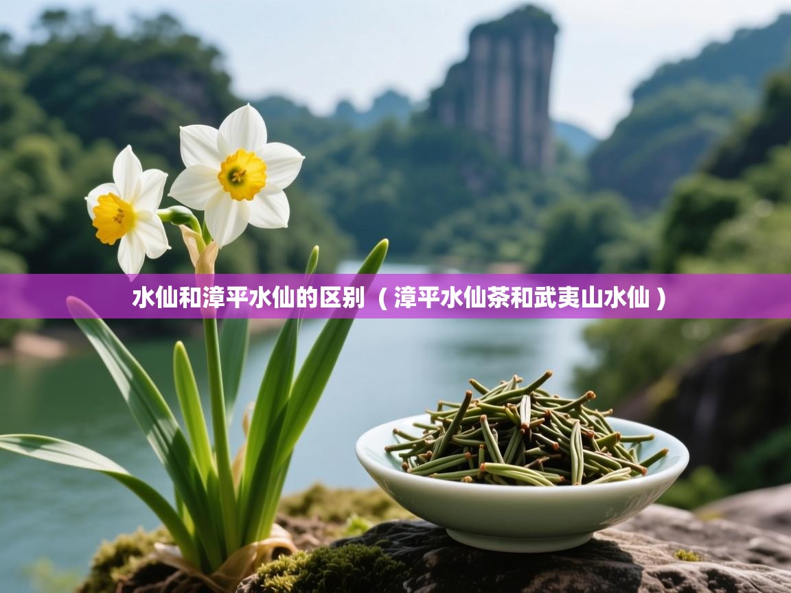  水仙和漳平水仙的区别  ( 漳平水仙茶和武夷山水仙 )