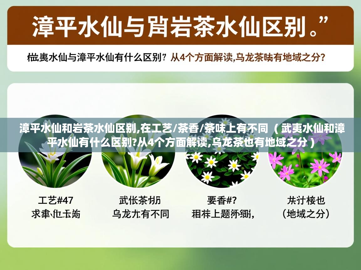  漳平水仙和岩茶水仙区别,在工艺/茶香/茶味上有不同  ( 武夷水仙和漳平水仙有什么区别?从4个方面解读,乌龙茶也有地域之分 )