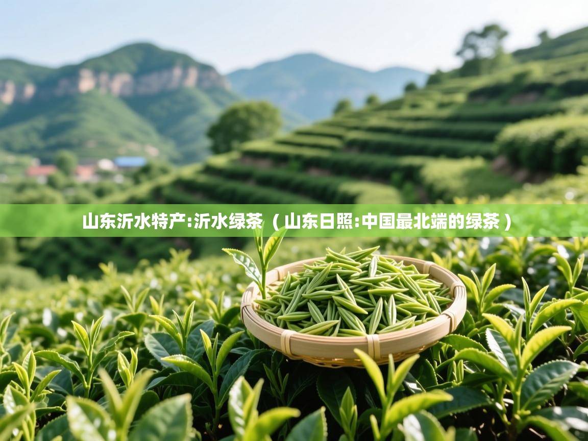山东沂水特产:沂水绿茶 ( 山东日照:中国最北端的绿茶 ) 山东沂水特产:沂水绿茶 ( 山东日照:中国最北端的绿茶 )