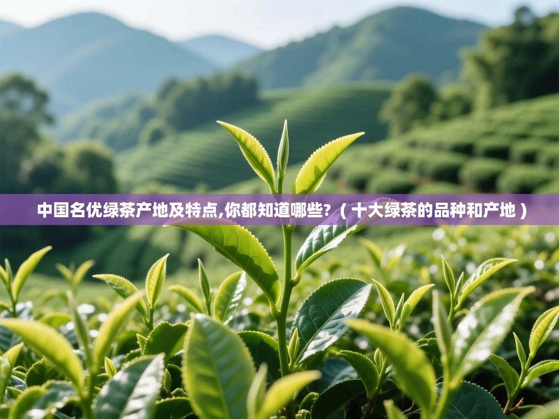 中国名优绿茶产地及特点,你都知道哪些? ( 十大绿茶的品种和产地 ) 中国名优绿茶产地及特点,你都知道哪些? ( 十大绿茶的品种和产地 )