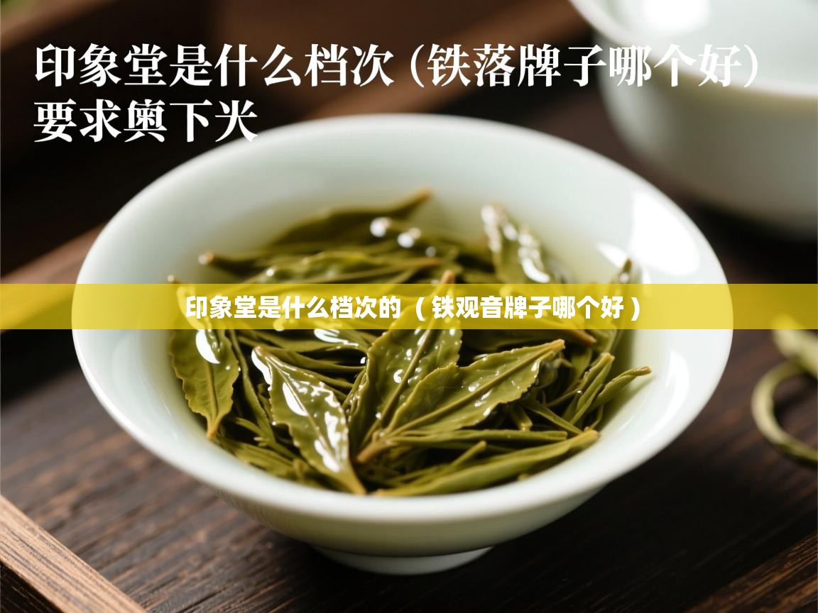  印象堂是什么档次的  ( 铁观音牌子哪个好 )