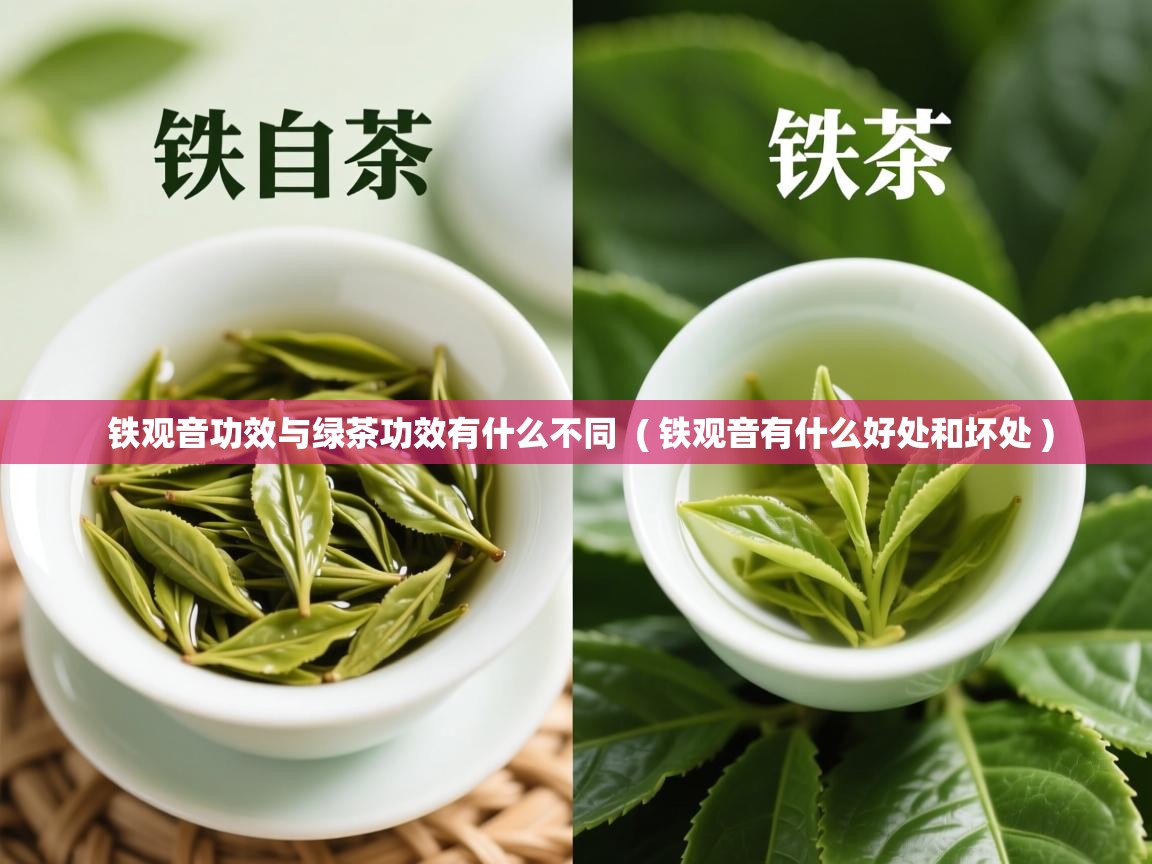  铁观音功效与绿茶功效有什么不同  ( 铁观音有什么好处和坏处 )