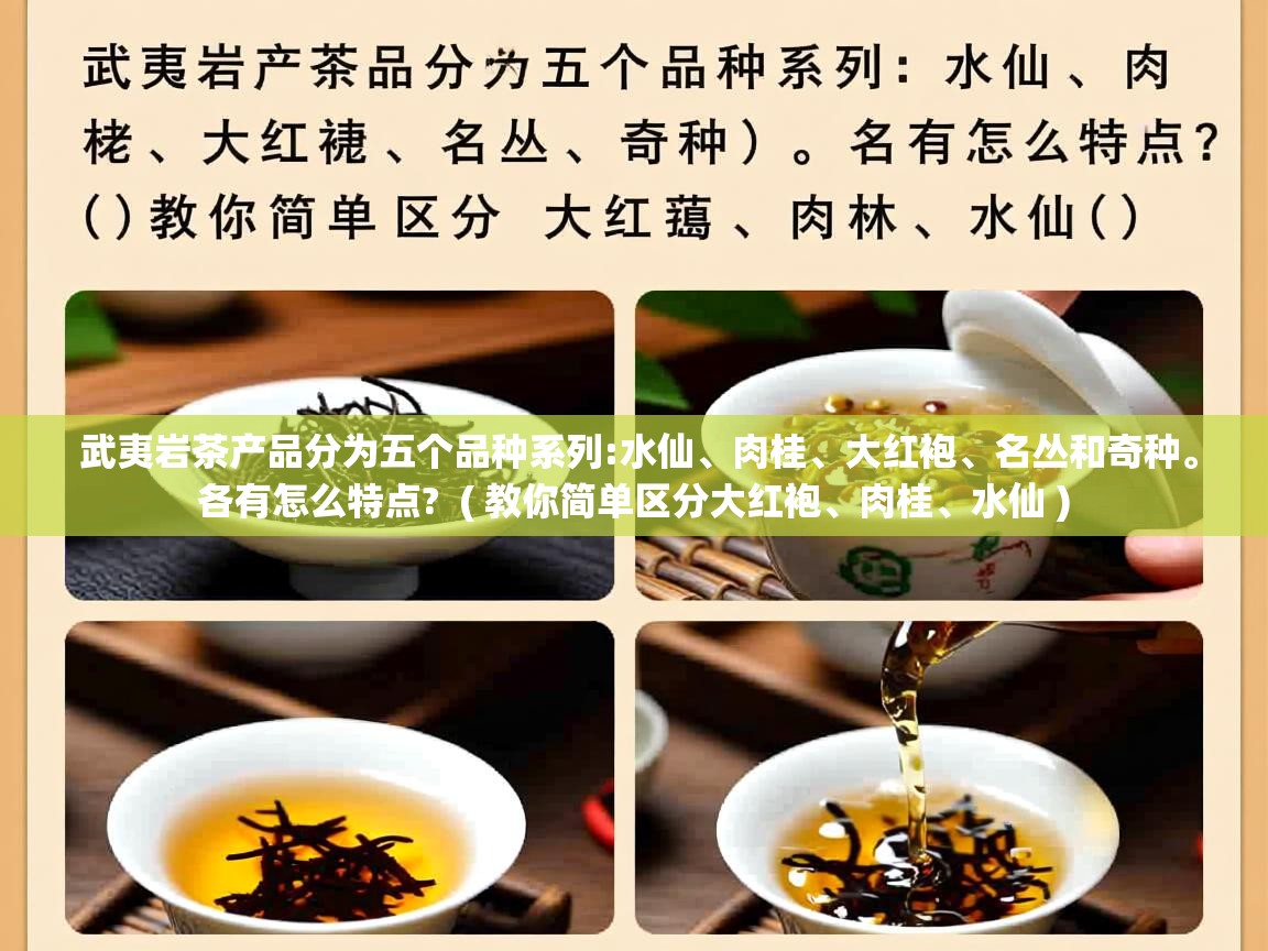 武夷岩茶产品分为五个品种系列:水仙、肉桂、大红袍、名丛和奇种。各有怎么特点? ( 教你简单区分大红袍、肉桂、水仙 ) 武夷岩茶产品分为五个品种系列:水仙、肉桂、大红袍、名丛和奇种。各有怎么特点? ( 教你简单区分大红袍、肉桂、水仙 )