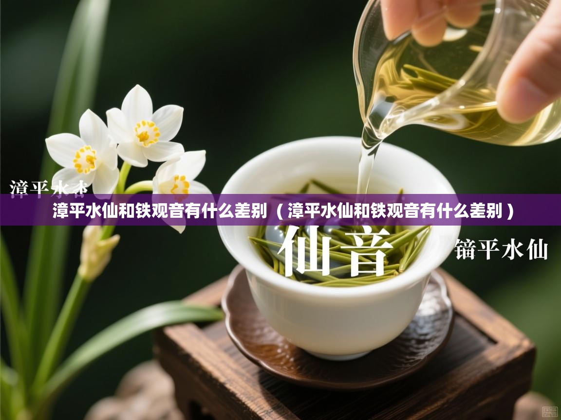  漳平水仙和铁观音有什么差别  ( 漳平水仙和铁观音有什么差别 )