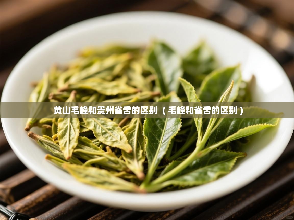 黄山毛峰和贵州雀舌的区别 ( 毛峰和雀舌的区别 ) 黄山毛峰和贵州雀舌的区别 ( 毛峰和雀舌的区别 )