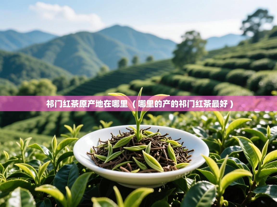祁门红茶原产地在哪里 ( 哪里的产的祁门红茶最好 ) 祁门红茶原产地在哪里 ( 哪里的产的祁门红茶最好 )