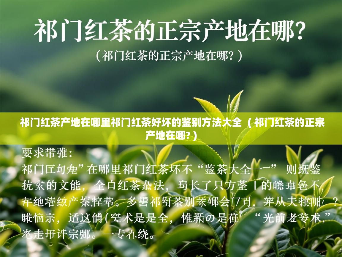 祁门红茶产地在哪里祁门红茶好坏的鉴别方法大全 ( 祁门红茶的正宗产地在哪? ) 祁门红茶产地在哪里祁门红茶好坏的鉴别方法大全 ( 祁门红茶的正宗产地在哪? )