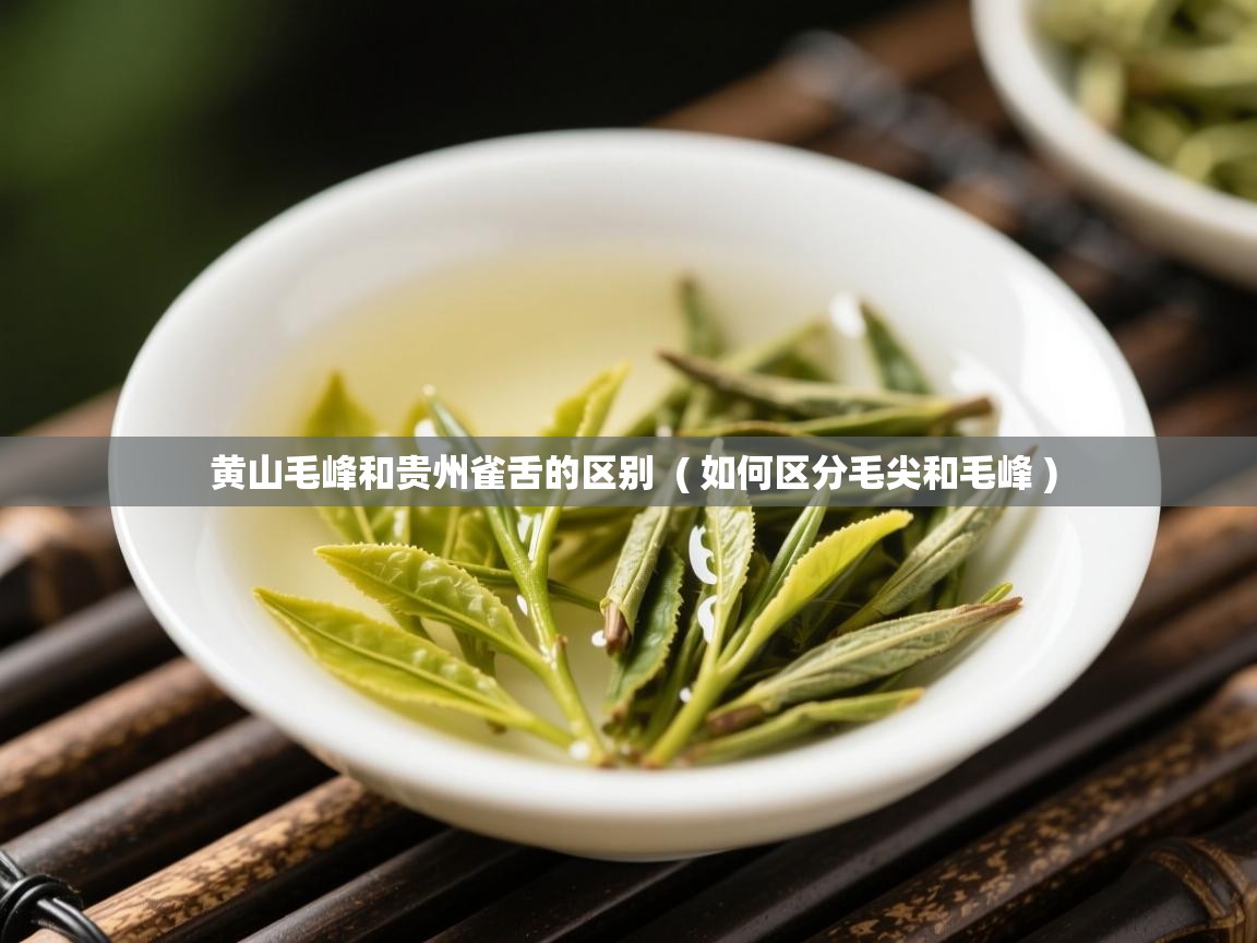 黄山毛峰和贵州雀舌的区别 ( 如何区分毛尖和毛峰 ) 黄山毛峰和贵州雀舌的区别 ( 如何区分毛尖和毛峰 )