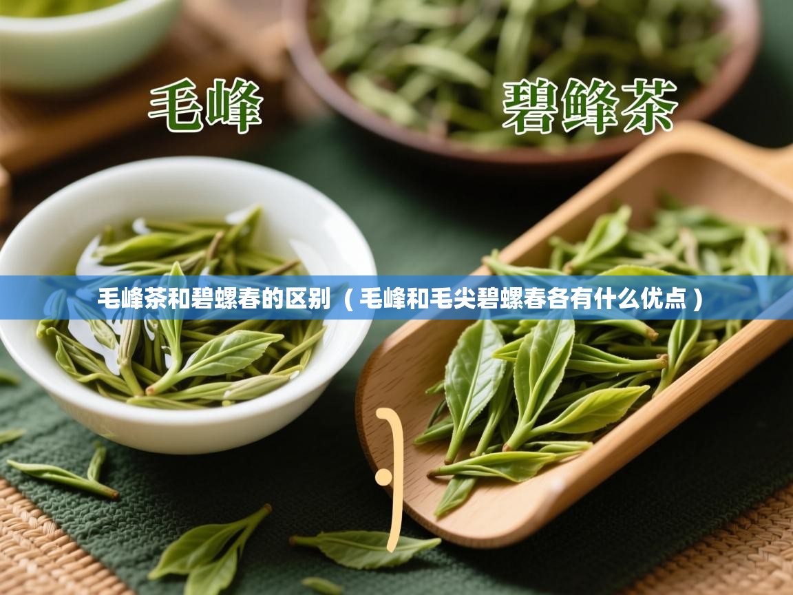 毛峰茶和碧螺春的区别 ( 毛峰和毛尖碧螺春各有什么优点 ) 毛峰茶和碧螺春的区别 ( 毛峰和毛尖碧螺春各有什么优点 )