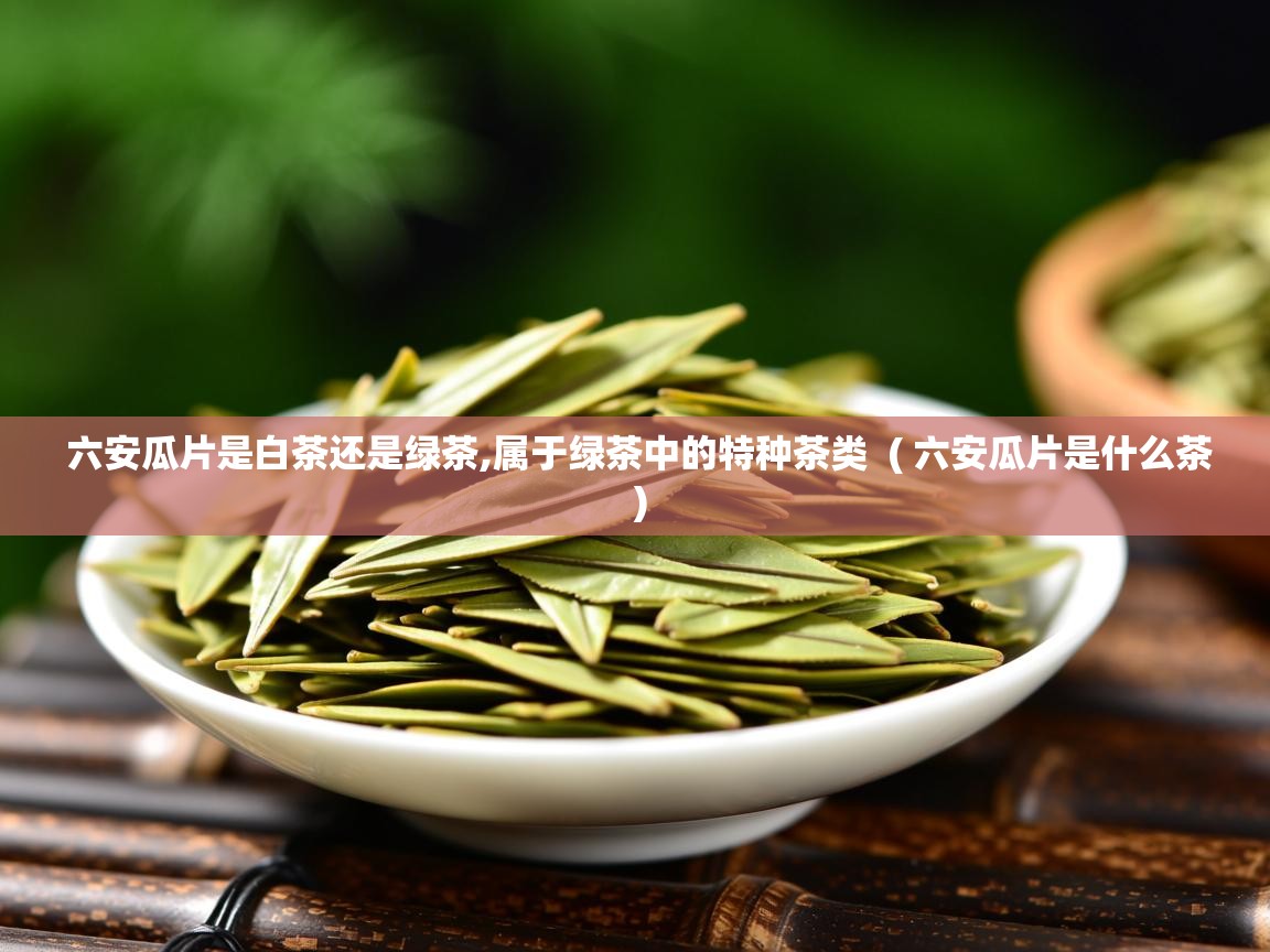  六安瓜片是白茶还是绿茶,属于绿茶中的特种茶类  ( 六安瓜片是什么茶 )