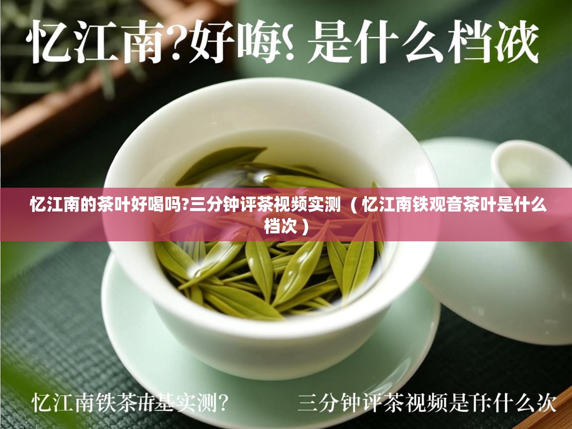  忆江南的茶叶好喝吗?三分钟评茶视频实测  ( 忆江南铁观音茶叶是什么档次 )