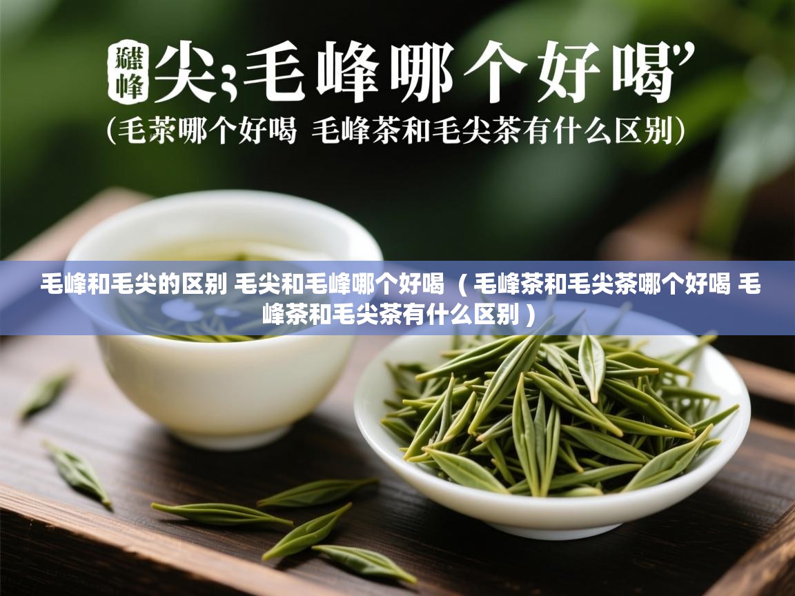  毛峰和毛尖的区别 毛尖和毛峰哪个好喝  ( 毛峰茶和毛尖茶哪个好喝 毛峰茶和毛尖茶有什么区别 )