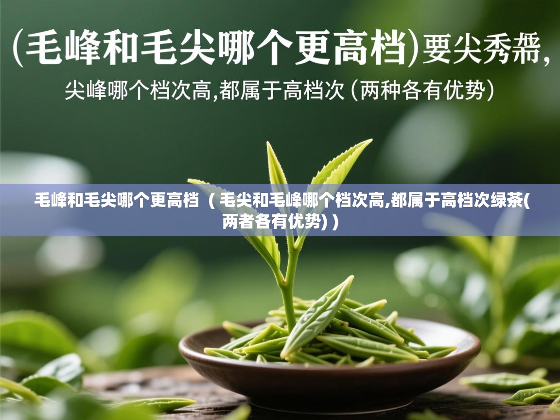  毛峰和毛尖哪个更高档  ( 毛尖和毛峰哪个档次高,都属于高档次绿茶(两者各有优势) )