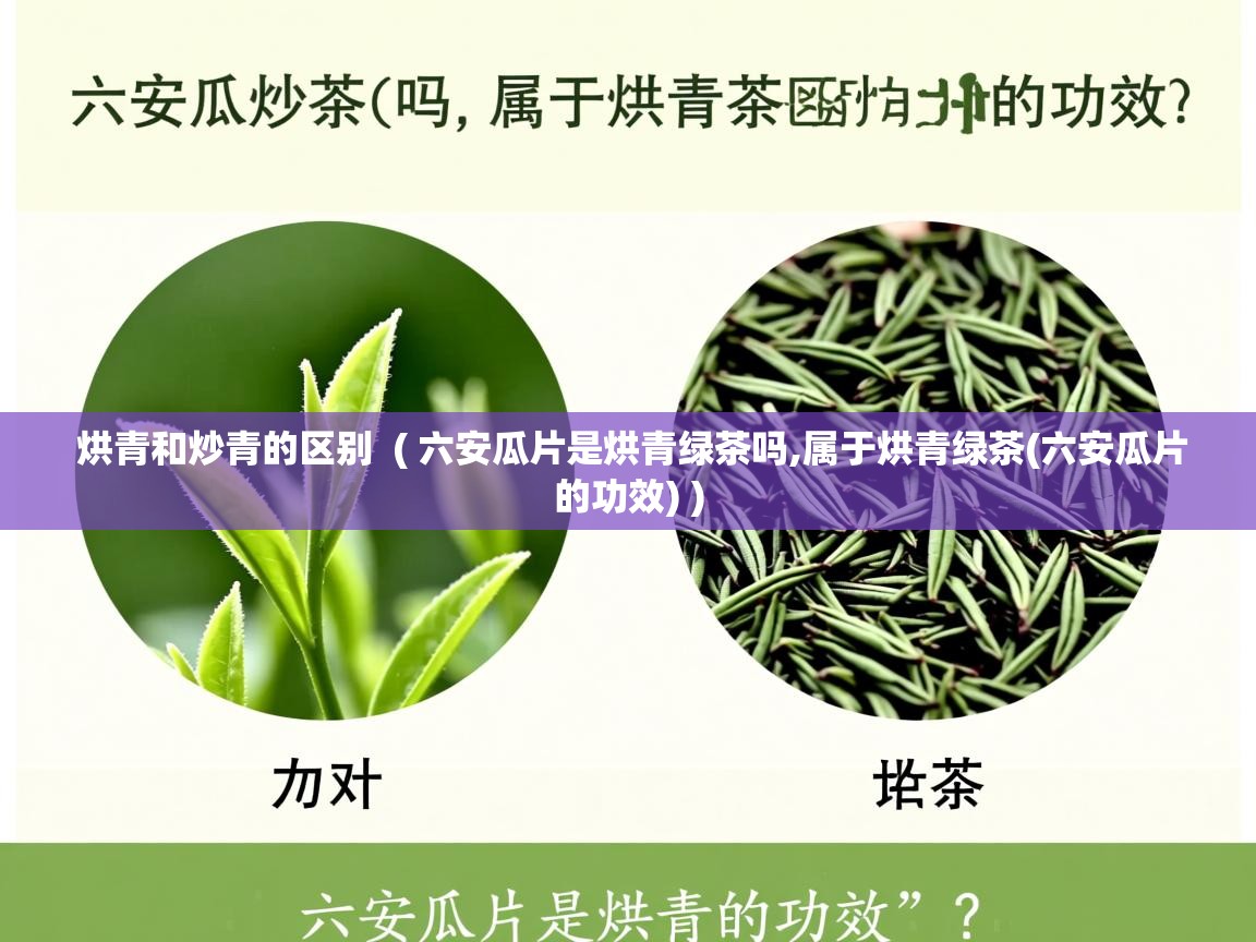烘青和炒青的区别 ( 六安瓜片是烘青绿茶吗,属于烘青绿茶(六安瓜片的功效) ) 烘青和炒青的区别 ( 六安瓜片是烘青绿茶吗,属于烘青绿茶(六安瓜片的功效) )