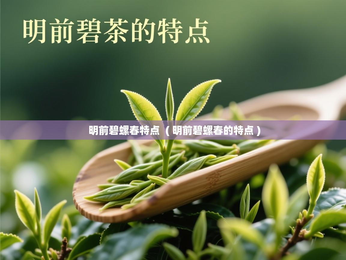 明前碧螺春特点 ( 明前碧螺春的特点 ) 明前碧螺春特点 ( 明前碧螺春的特点 )