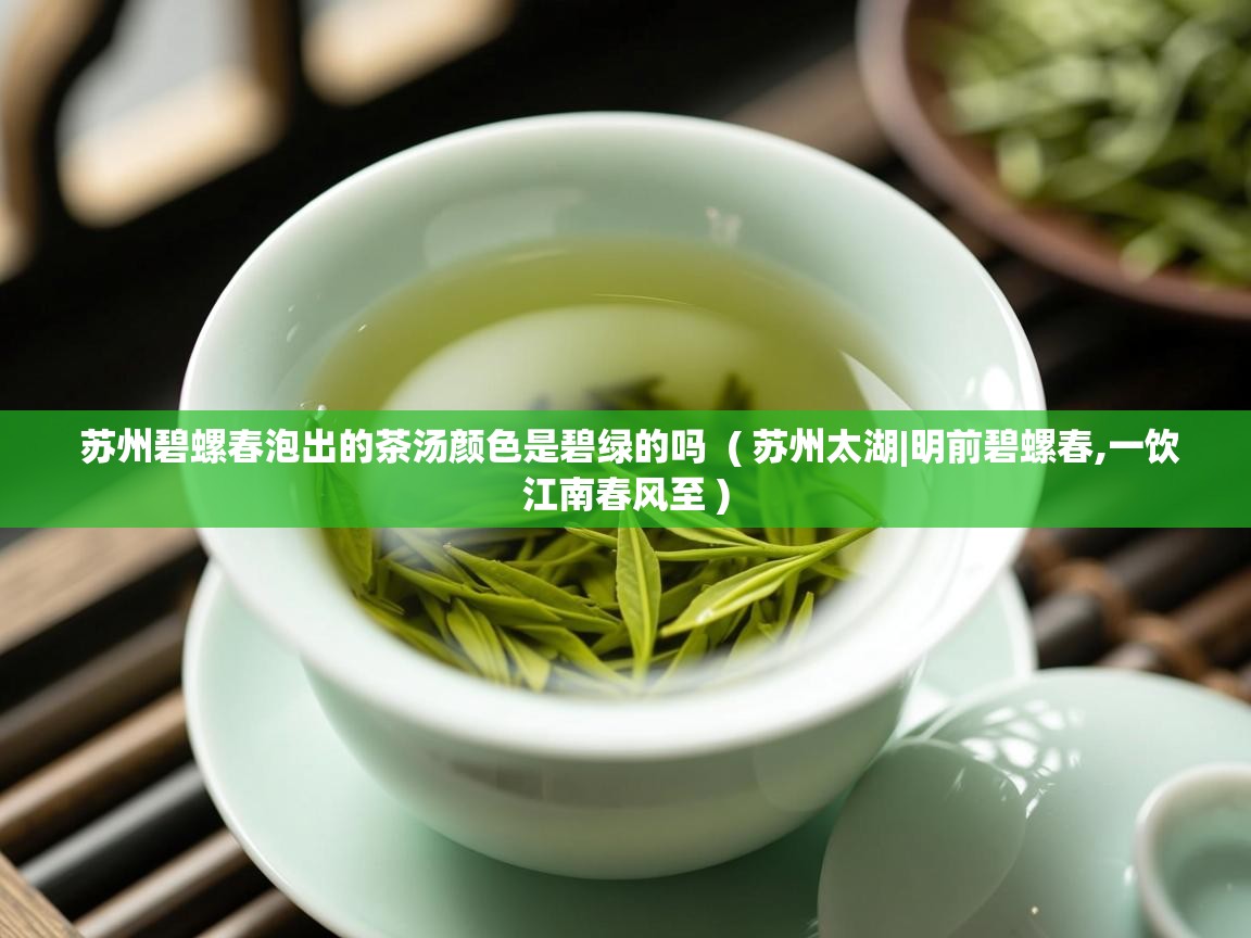 苏州碧螺春泡出的茶汤颜色是碧绿的吗 ( 苏州太湖|明前碧螺春,一饮江南春风至 ) 苏州碧螺春泡出的茶汤颜色是碧绿的吗 ( 苏州太湖|明前碧螺春,一饮江南春风至 )