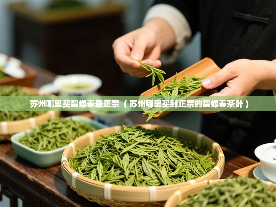 苏州哪里买碧螺春最正宗 ( 苏州哪里买到正宗的碧螺春茶叶 ) 苏州哪里买碧螺春最正宗 ( 苏州哪里买到正宗的碧螺春茶叶 )
