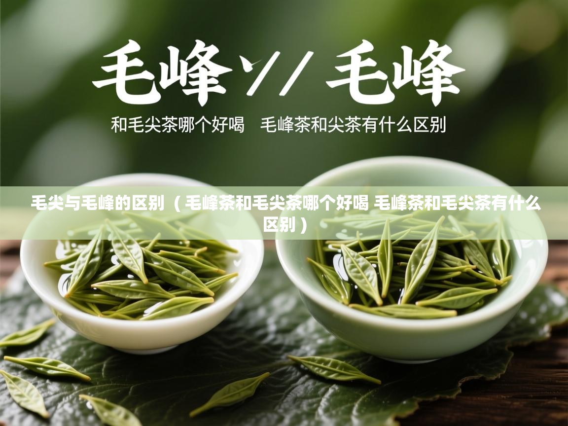  毛尖与毛峰的区别  ( 毛峰茶和毛尖茶哪个好喝 毛峰茶和毛尖茶有什么区别 )