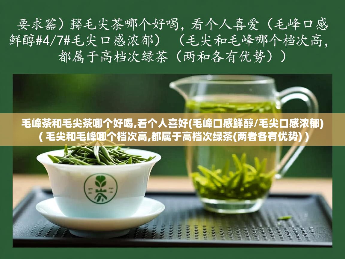  毛峰茶和毛尖茶哪个好喝,看个人喜好(毛峰口感鲜醇/毛尖口感浓郁)  ( 毛尖和毛峰哪个档次高,都属于高档次绿茶(两者各有优势) )