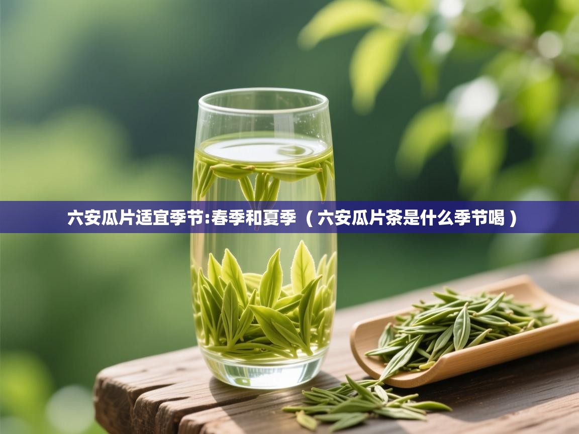  六安瓜片适宜季节:春季和夏季  ( 六安瓜片茶是什么季节喝 )