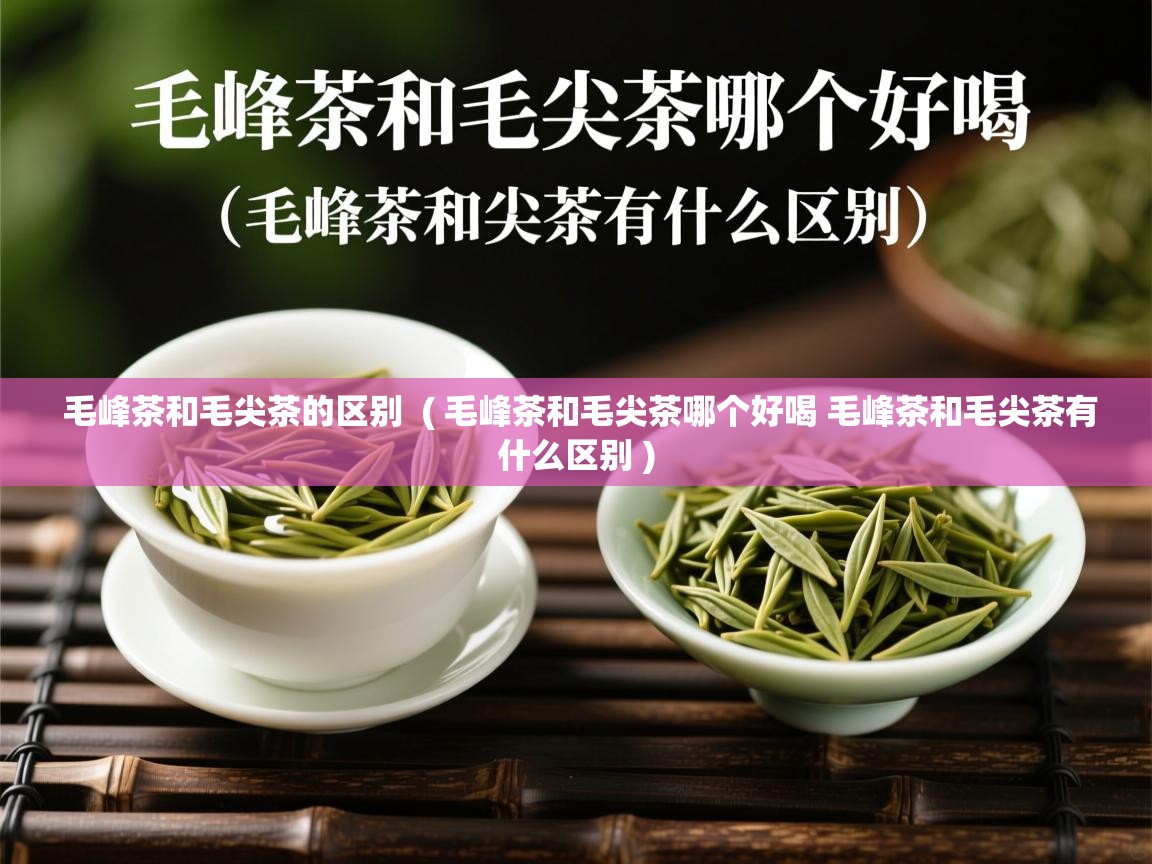 毛峰茶和毛尖茶的区别 ( 毛峰茶和毛尖茶哪个好喝 毛峰茶和毛尖茶有什么区别 ) 毛峰茶和毛尖茶的区别 ( 毛峰茶和毛尖茶哪个好喝 毛峰茶和毛尖茶有什么区别 )