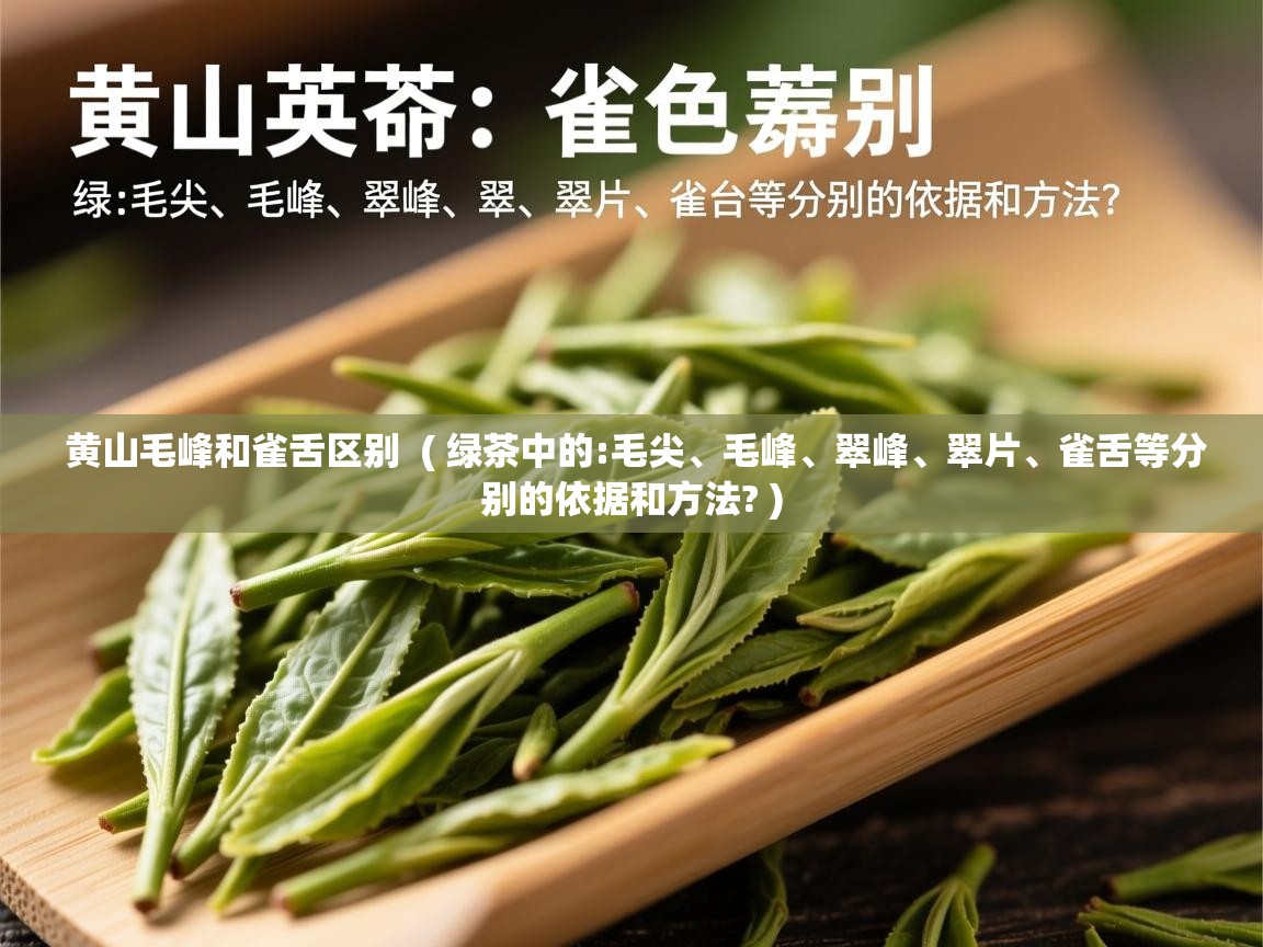黄山毛峰和雀舌区别 ( 绿茶中的:毛尖、毛峰、翠峰、翠片、雀舌等分别的依据和方法? ) 黄山毛峰和雀舌区别 ( 绿茶中的:毛尖、毛峰、翠峰、翠片、雀舌等分别的依据和方法? )