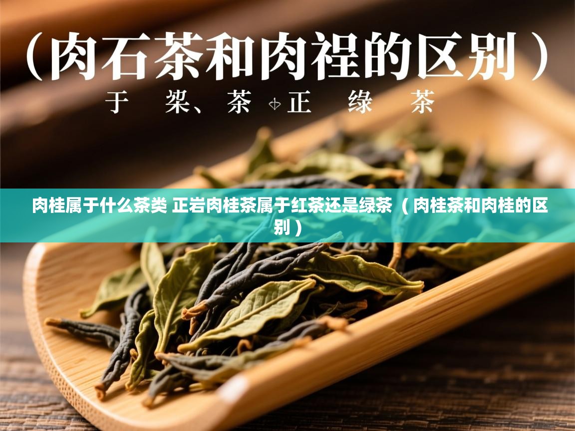 肉桂属于什么茶类 正岩肉桂茶属于红茶还是绿茶 ( 肉桂茶和肉桂的区别 ) 肉桂属于什么茶类 正岩肉桂茶属于红茶还是绿茶 ( 肉桂茶和肉桂的区别 )