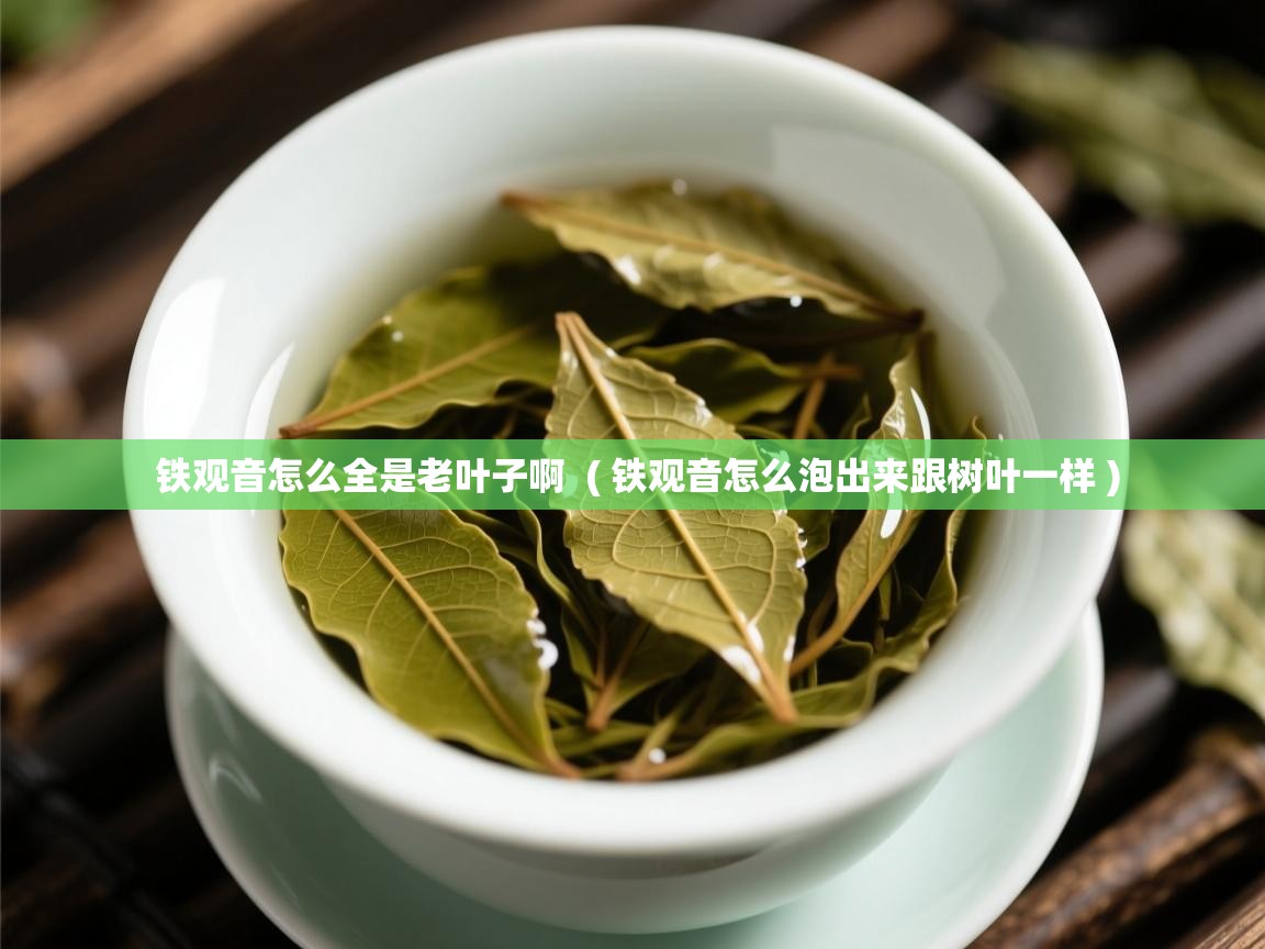  铁观音怎么全是老叶子啊  ( 铁观音怎么泡出来跟树叶一样 )