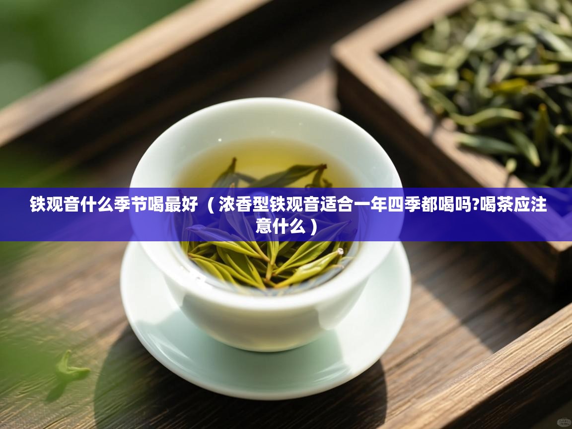  铁观音什么季节喝最好  ( 浓香型铁观音适合一年四季都喝吗?喝茶应注意什么 )