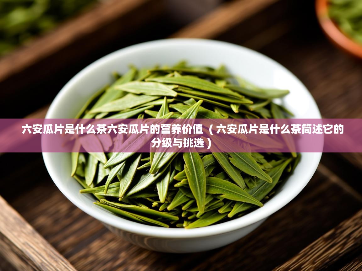 六安瓜片是什么茶六安瓜片的营养价值 ( 六安瓜片是什么茶简述它的分级与挑选 ) 六安瓜片是什么茶六安瓜片的营养价值 ( 六安瓜片是什么茶简述它的分级与挑选 )