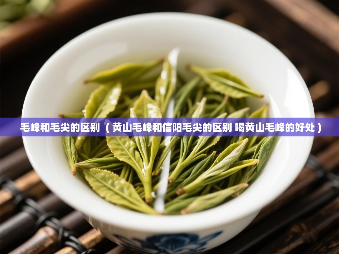 毛峰和毛尖的区别 ( 黄山毛峰和信阳毛尖的区别 喝黄山毛峰的好处 ) 毛峰和毛尖的区别 ( 黄山毛峰和信阳毛尖的区别 喝黄山毛峰的好处 )