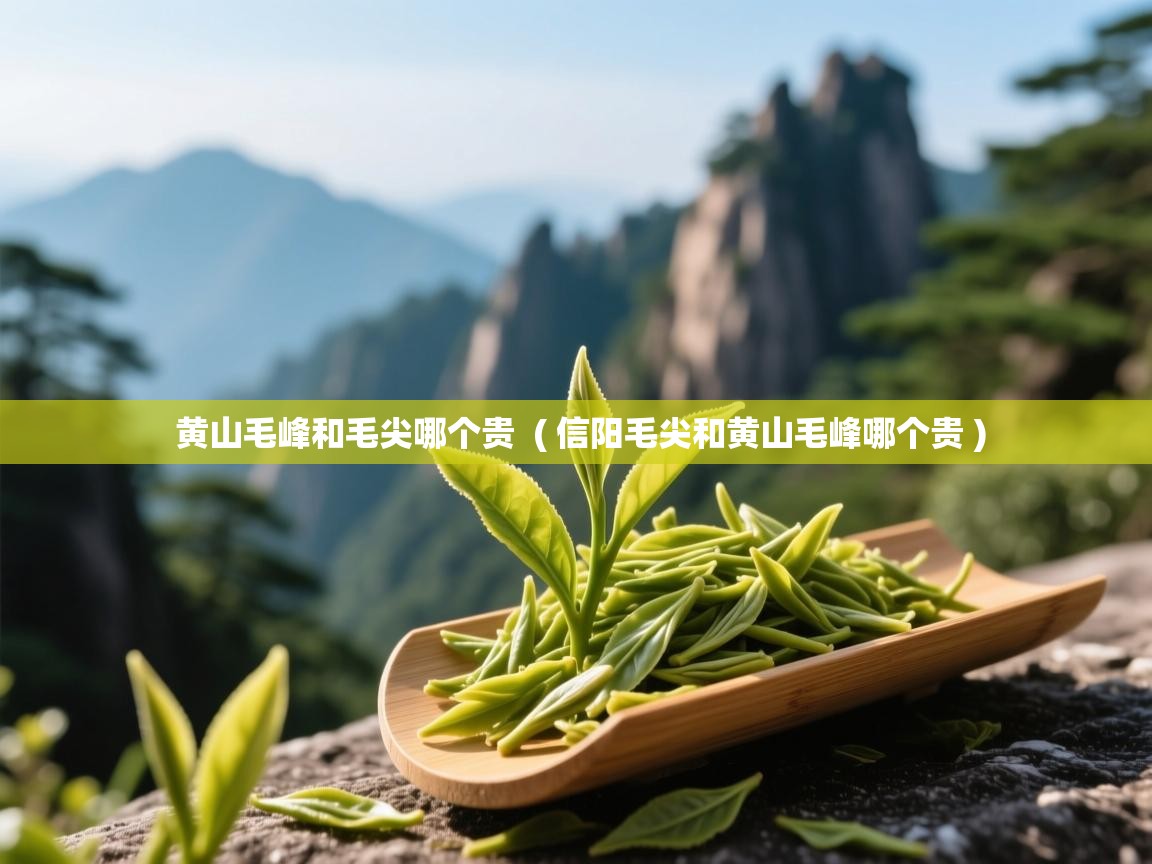  黄山毛峰和毛尖哪个贵  ( 信阳毛尖和黄山毛峰哪个贵 )