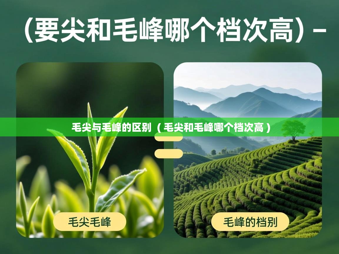 毛尖与毛峰的区别 ( 毛尖和毛峰哪个档次高 ) 毛尖与毛峰的区别 ( 毛尖和毛峰哪个档次高 )
