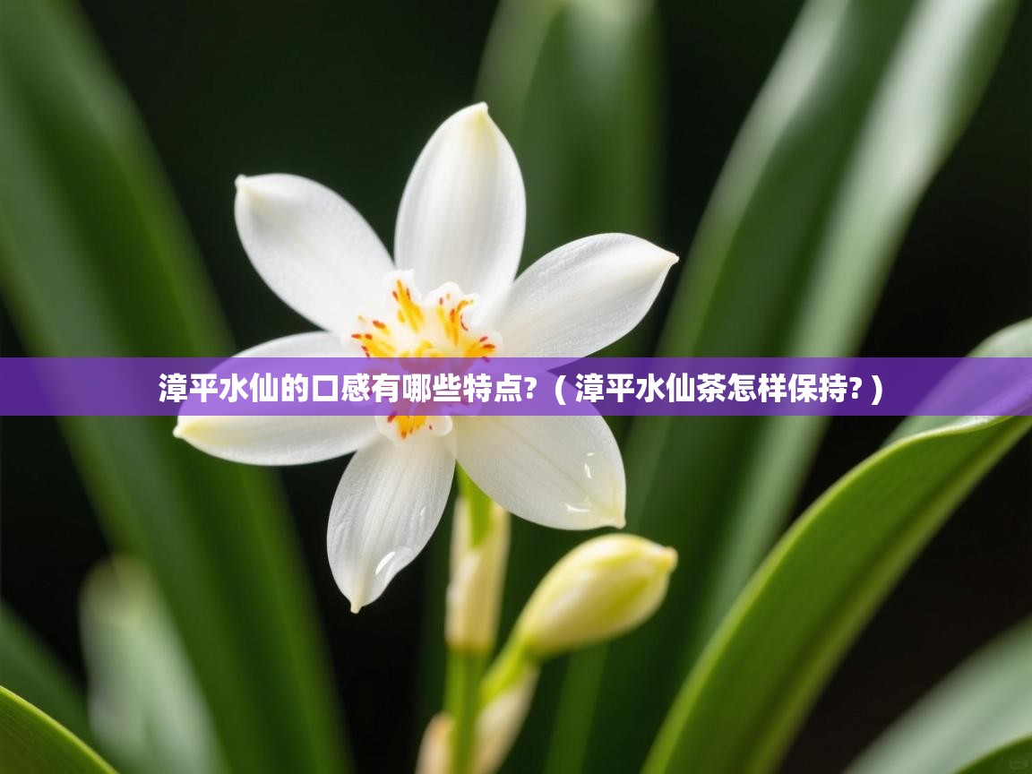 漳平水仙的口感有哪些特点? ( 漳平水仙茶怎样保持? ) 漳平水仙的口感有哪些特点? ( 漳平水仙茶怎样保持? )
