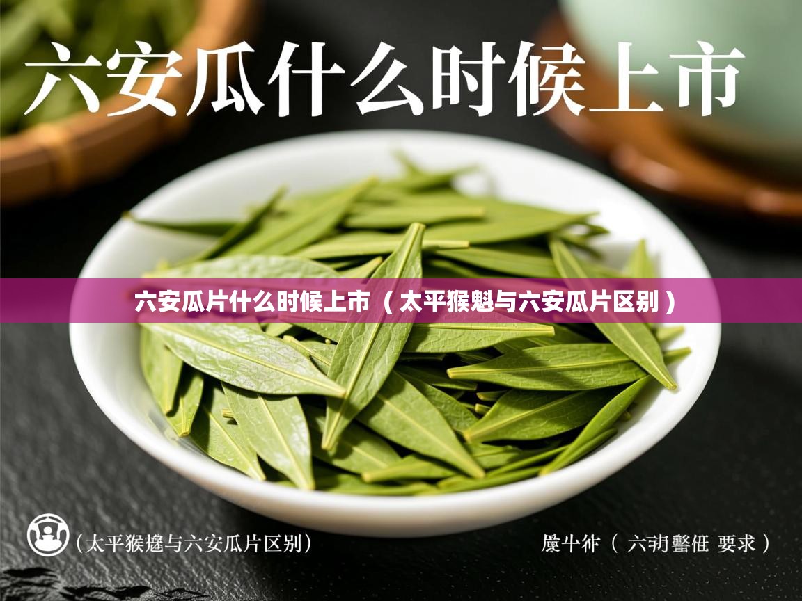 六安瓜片什么时候上市 ( 太平猴魁与六安瓜片区别 ) 六安瓜片什么时候上市 ( 太平猴魁与六安瓜片区别 )