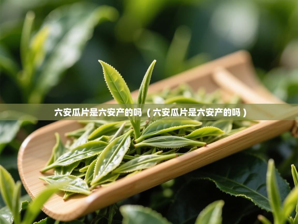  六安瓜片是六安产的吗  ( 六安瓜片是六安产的吗 )
