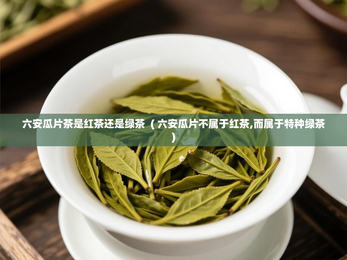  六安瓜片茶是红茶还是绿茶  ( 六安瓜片不属于红茶,而属于特种绿茶 )