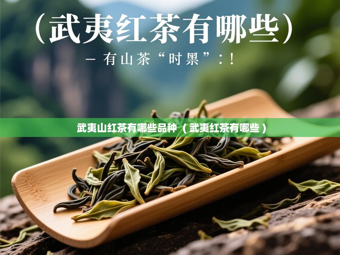 武夷山红茶有哪些品种 ( 武夷红茶有哪些 ) 武夷山红茶有哪些品种 ( 武夷红茶有哪些 )