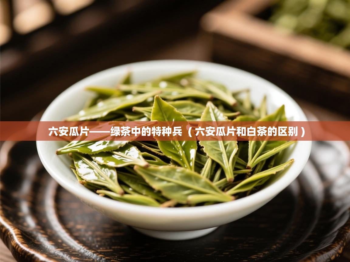  六安瓜片——绿茶中的特种兵  ( 六安瓜片和白茶的区别 )